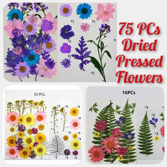 75 pcs Dried pressed flowers and leaves